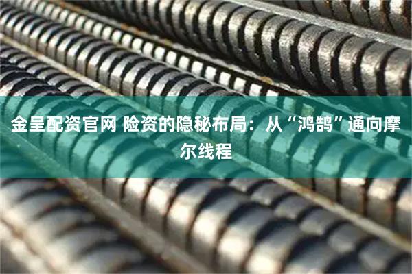 金呈配资官网 险资的隐秘布局：从“鸿鹄”通向摩尔线程