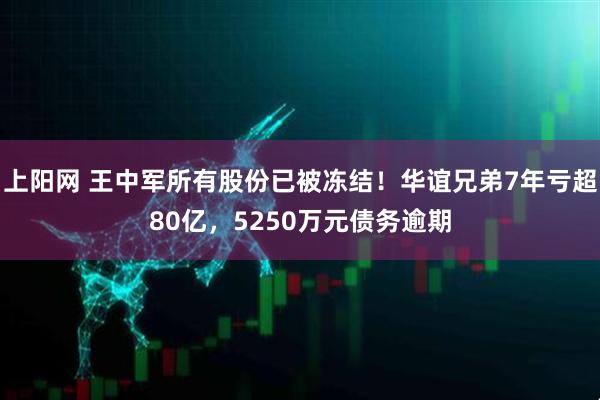 上阳网 王中军所有股份已被冻结！华谊兄弟7年亏超80亿，5250万元债务逾期