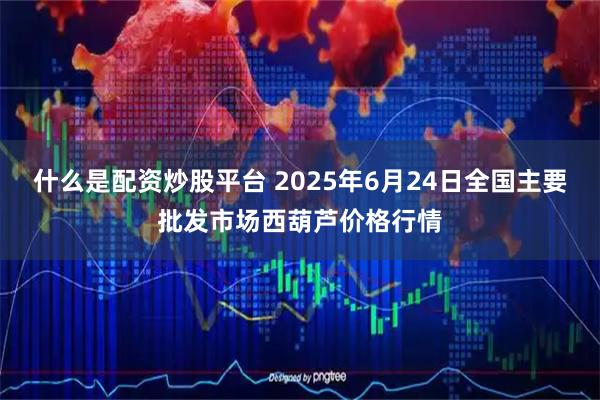 什么是配资炒股平台 2025年6月24日全国主要批发市场西葫芦价格行情