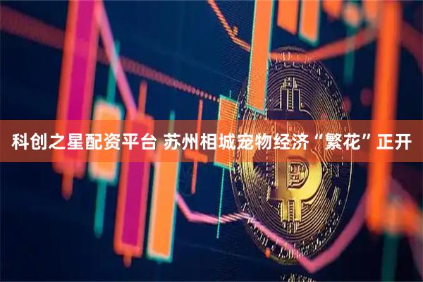 科创之星配资平台 苏州相城宠物经济“繁花”正开